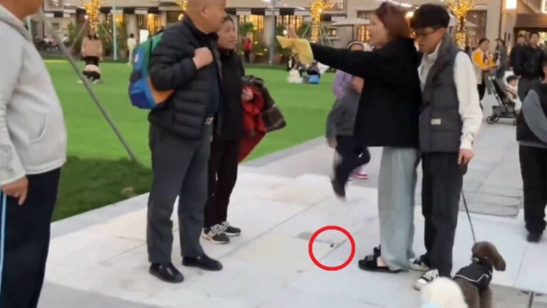 上海公園寵物糾紛升級 狗主拒清理犬隻排泄物並與途人衝突