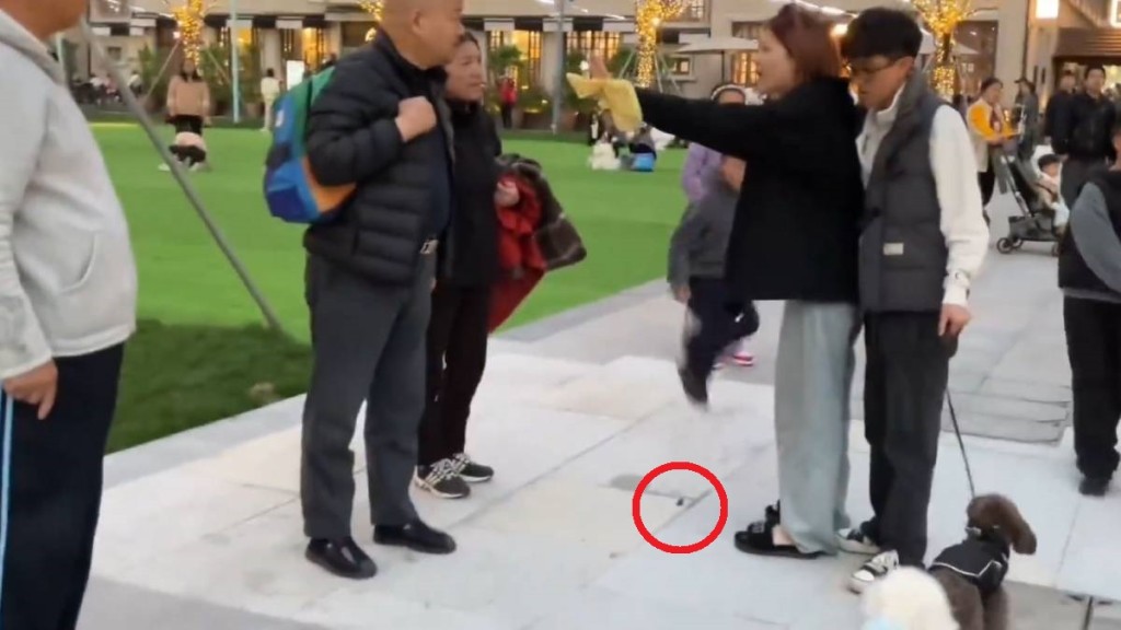 上海公園寵物糾紛升級 狗主拒清理犬隻排泄物並與途人衝突