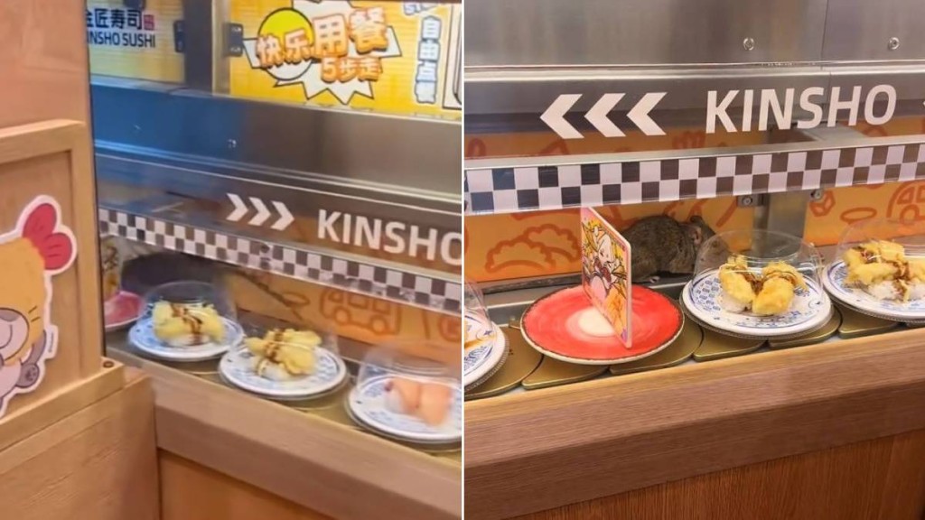 杭州壽司店迴轉帶驚現老鼠 店方致歉並全額賠償