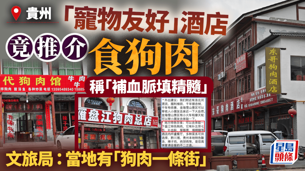 貴州寵物友善酒店向旅客推介狗肉 文旅局證實當地有「狗肉一條街」