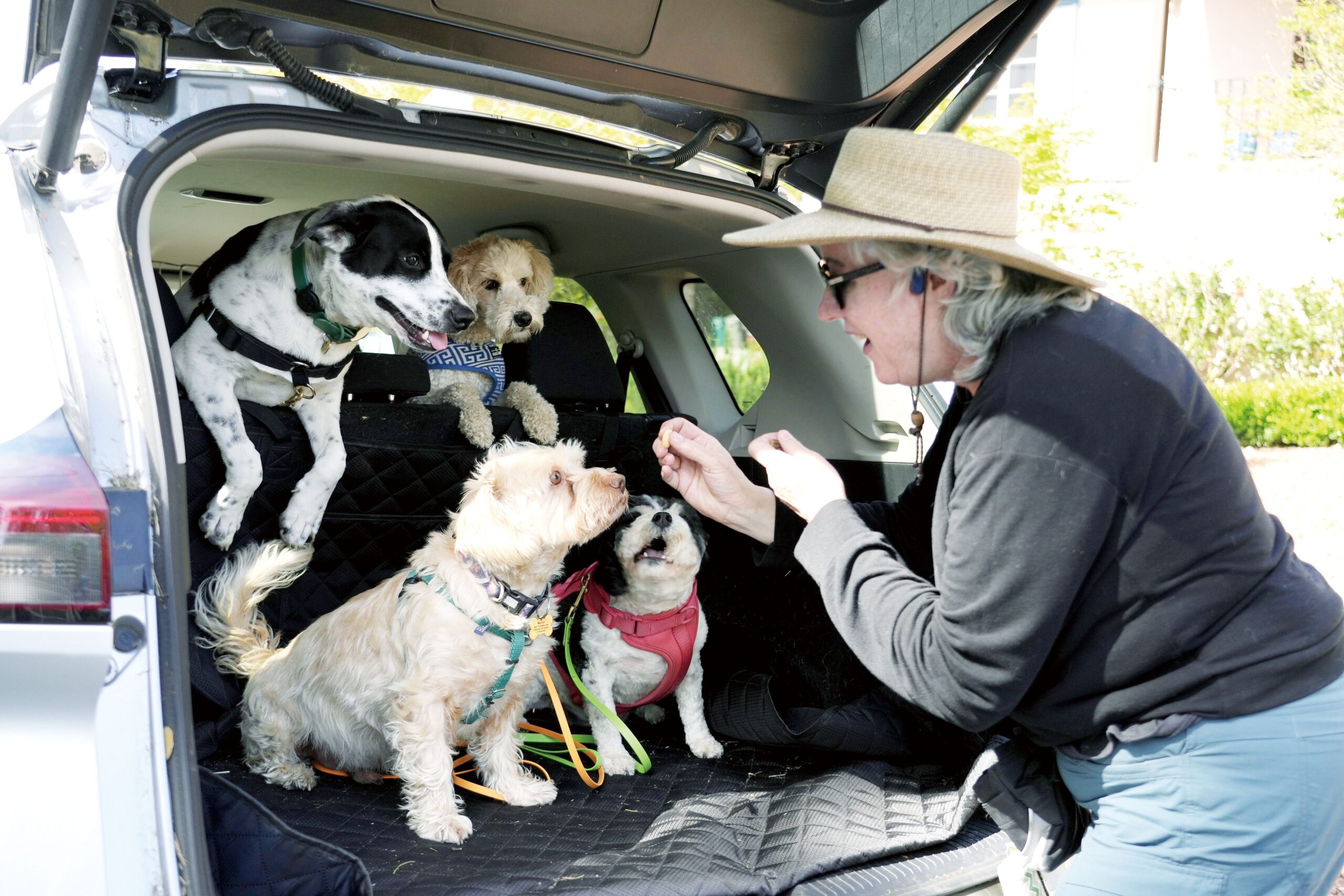 寵物公司負責人肯尼菲克在車上餵客戶的狗吃零食。美聯社
