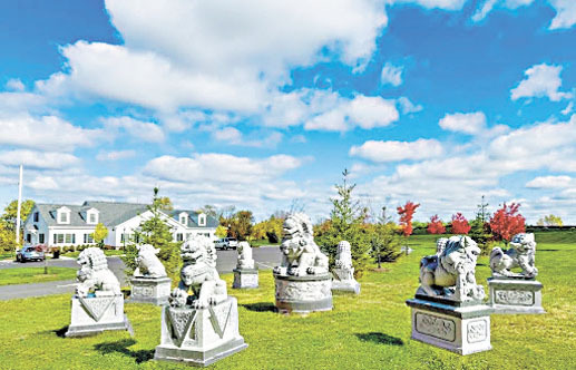 獅王獅群陣庇佑子孫後代，世代昌隆。