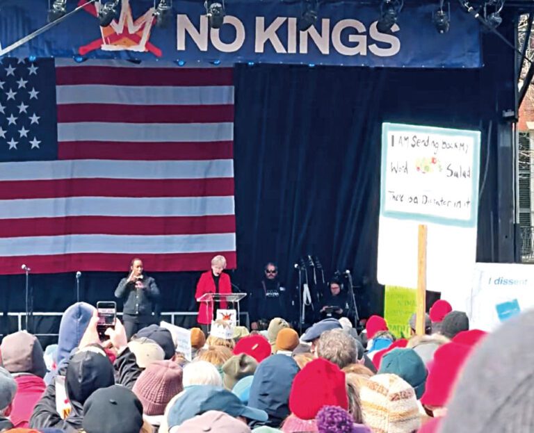 聯邦參議員沃倫在集會現場發言。 視頻截圖