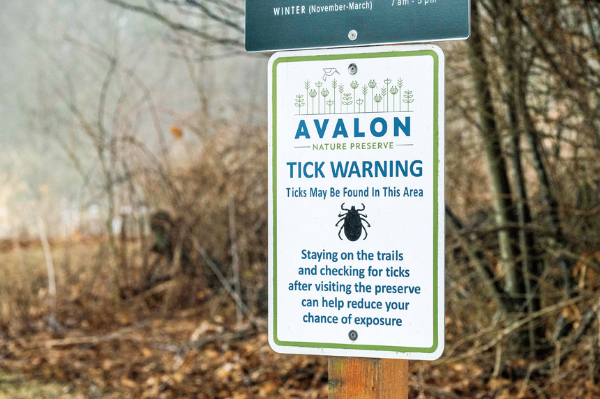 「紅肉過敏症」因蜱蟲叮咬引發，蘇福縣病例數疑似高居全美之冠。 Johnny Milano/紐約時報