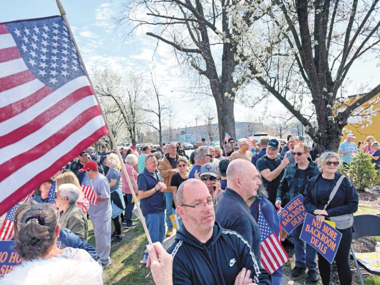 數百民眾到場持旗示威。