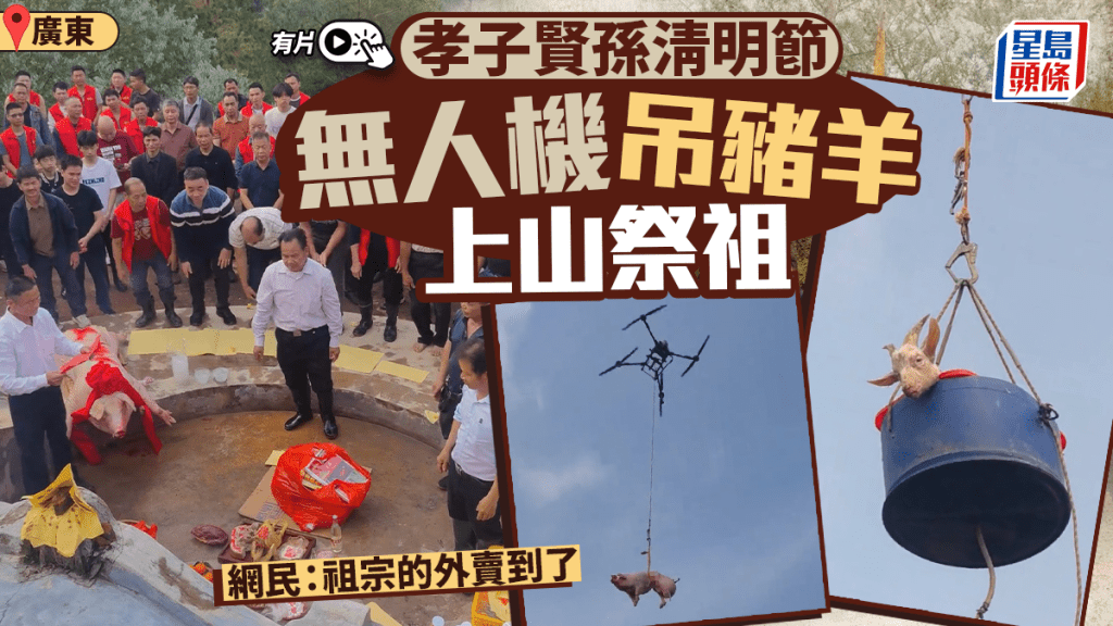 清明祭祖新方式 廣東村民用無人機吊運豬羊上山