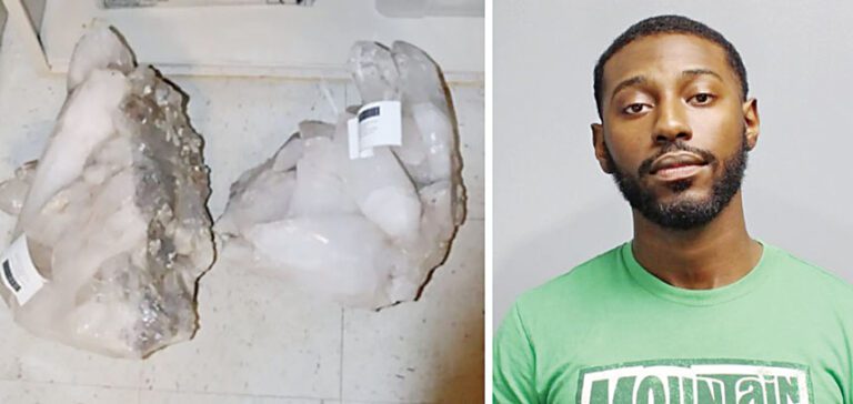 福克斯從藝術中心的花園展位竊取了9個珍貴晶洞。 萊伊警務處圖片