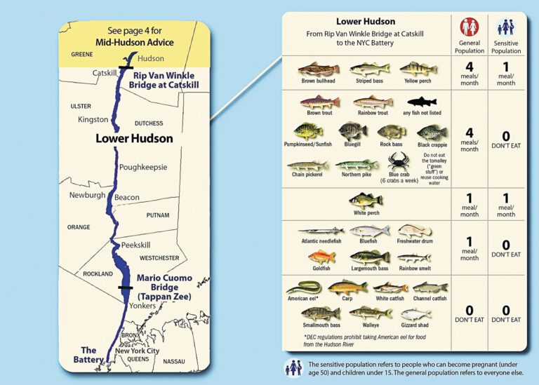 州衛生廳更新哈德遜河的漁獲食用指南。 紐約州衛生廳圖片