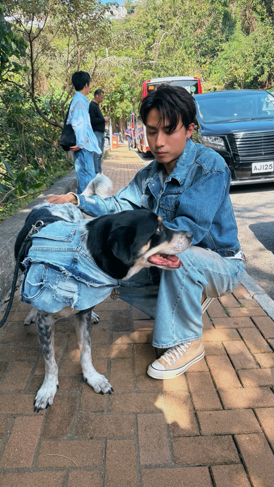 AK的溫馨作品《攬緊處理》，其愛犬猜柴亦首度亮相MV。