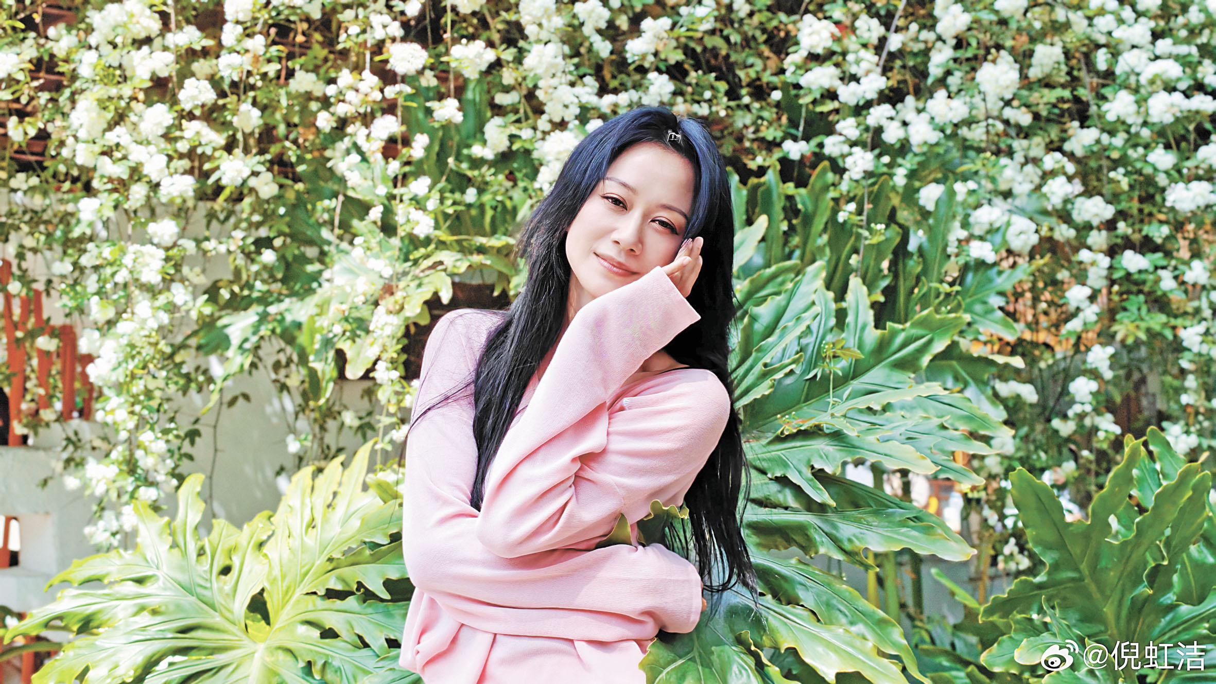 倪虹潔至今沒有再婚。網上圖片