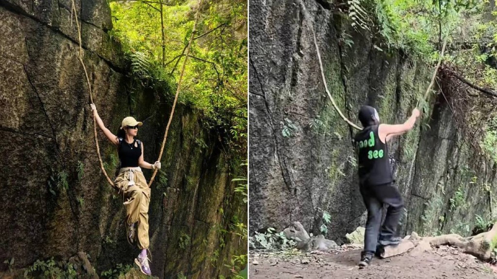 湖北網紅樹藤遭蒙面人斬斷 官方介入調查事件始末