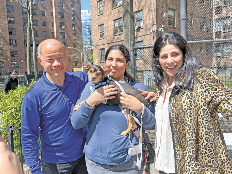 助流浪動物找到家，劉醇逸辦動物領養活動。