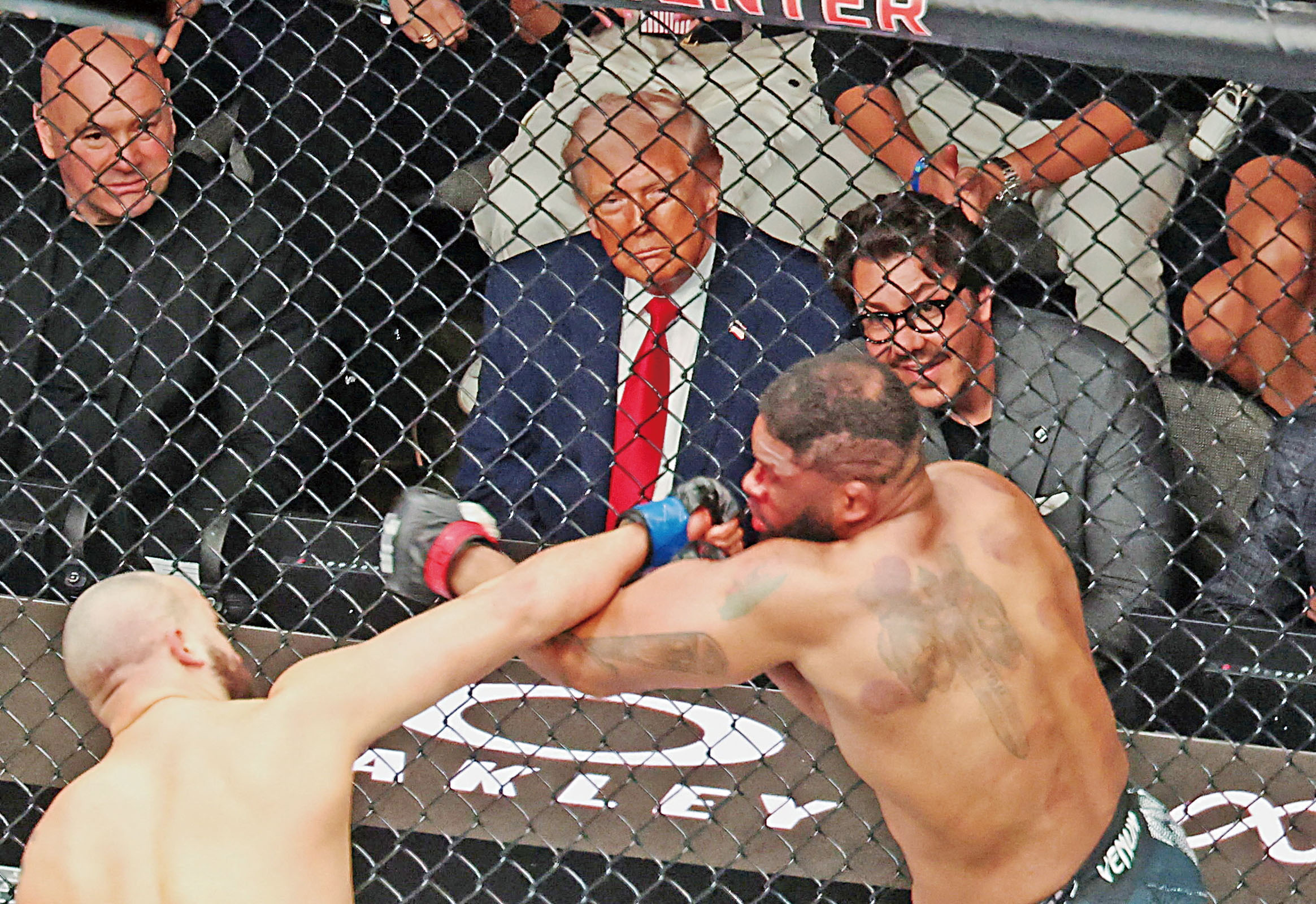 特朗普在佛州邁阿密觀賞終極格鬥冠軍賽（UFC）的賽事。路透社