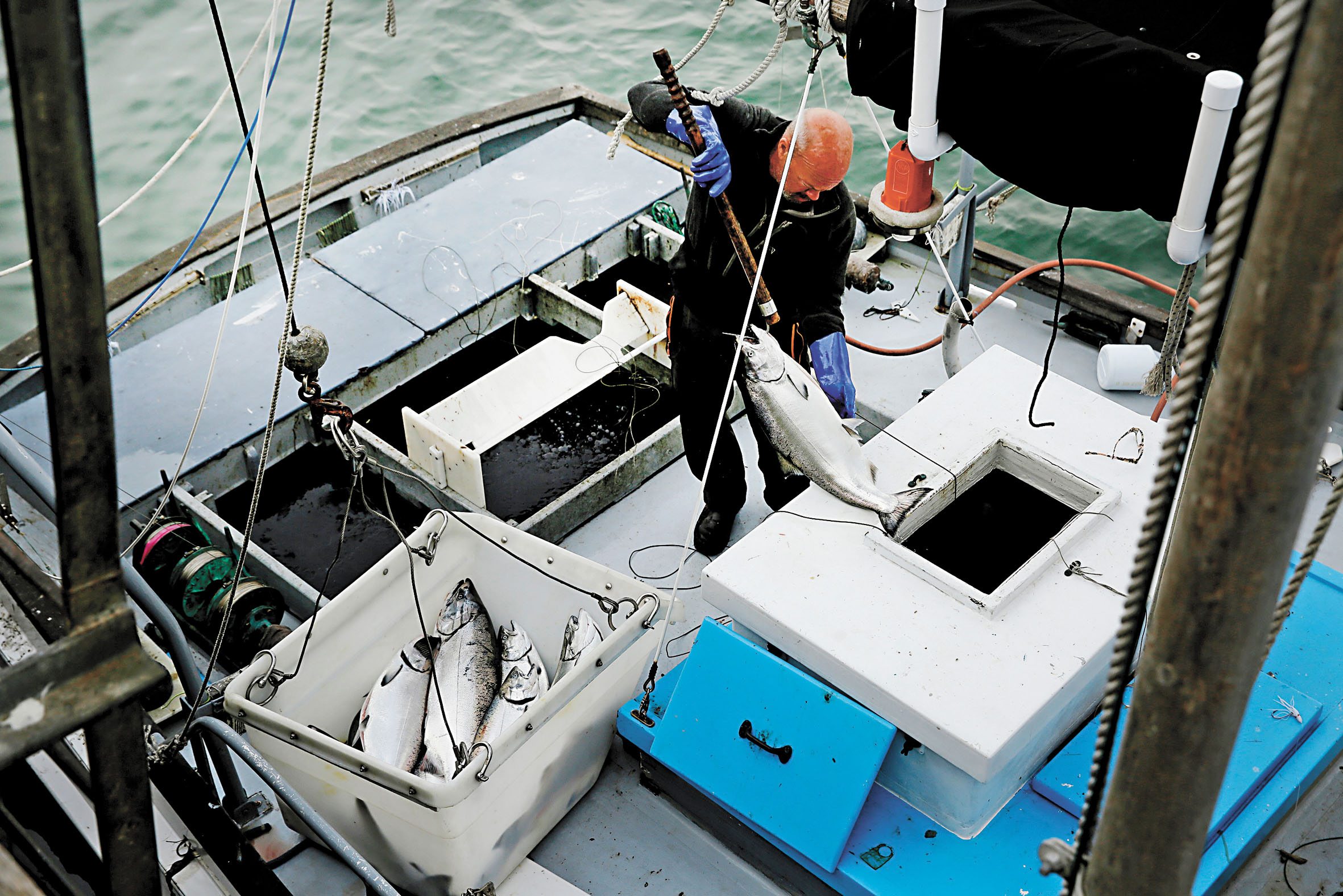 聯邦委員會批准加州沿岸商業捕撈鮭魚，圖為三藩市漁人碼頭漁民2019年將剛捕撈的鮭魚卸貨。美聯社資料圖片