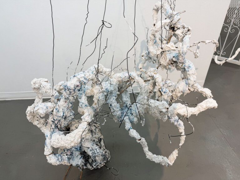 《伸而不至，纏而不解》雙人展   美華藝術協會四五六畫廊展出