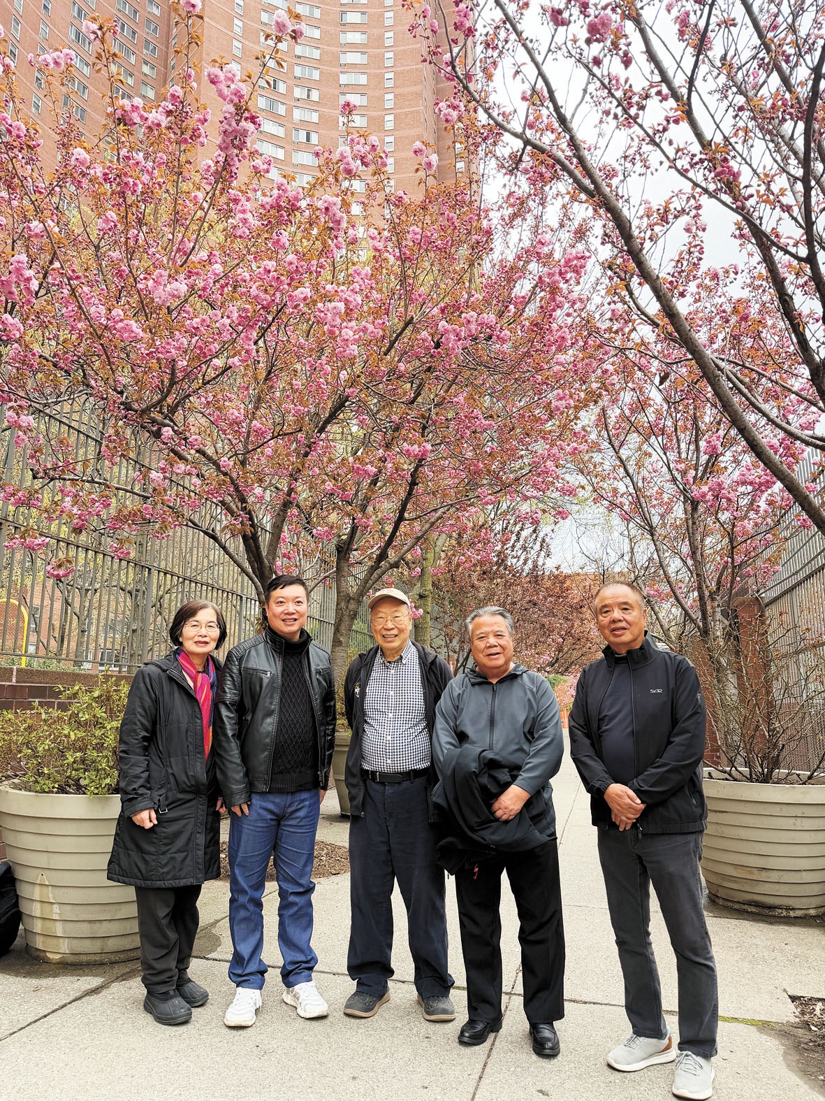 眾人站在孔廈櫻花樹前合照。