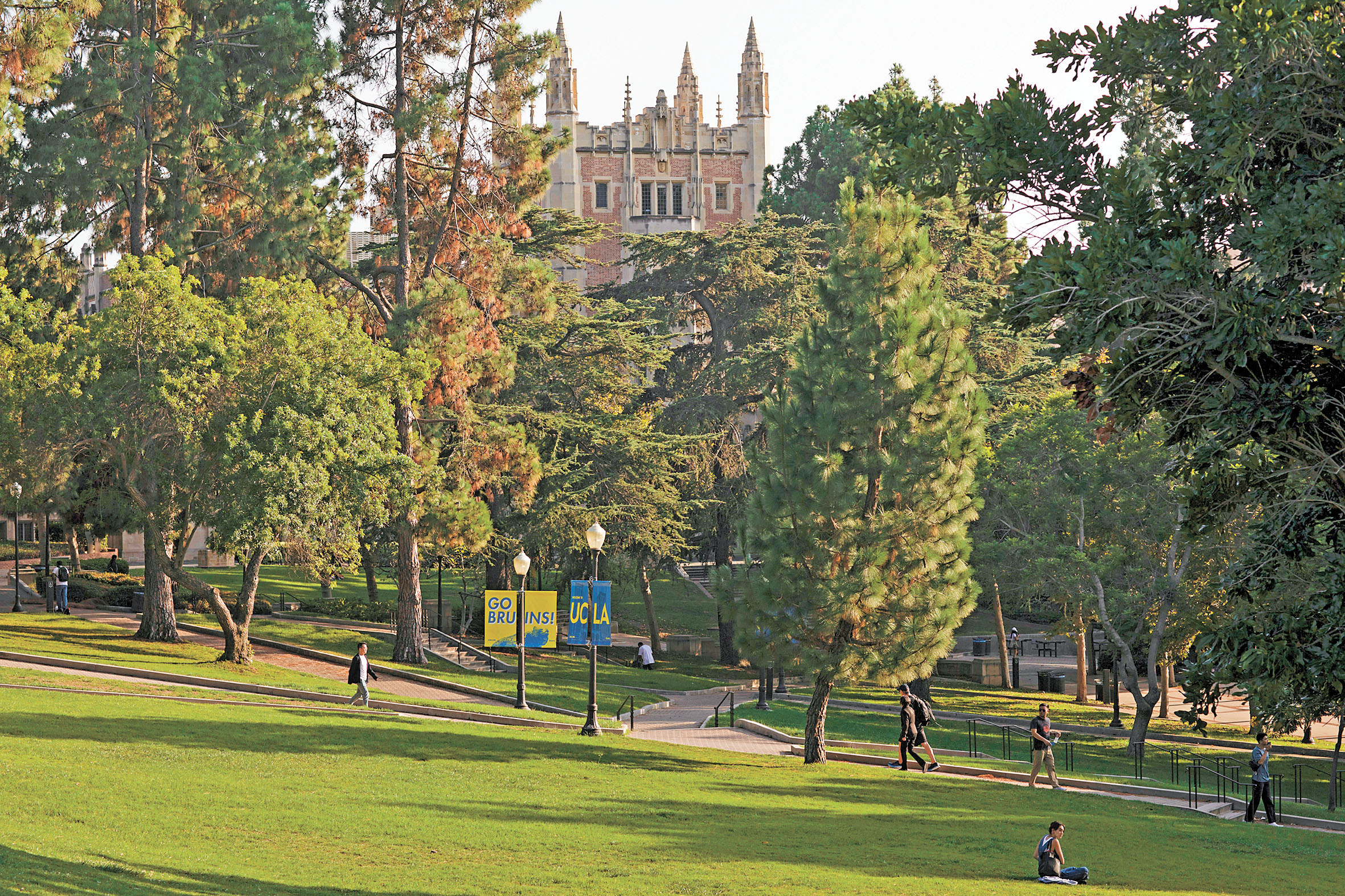 高中畢業後休學一年逐漸獲得更多家長和學生認同，圖為洛杉磯加大校園一景。紐約時報