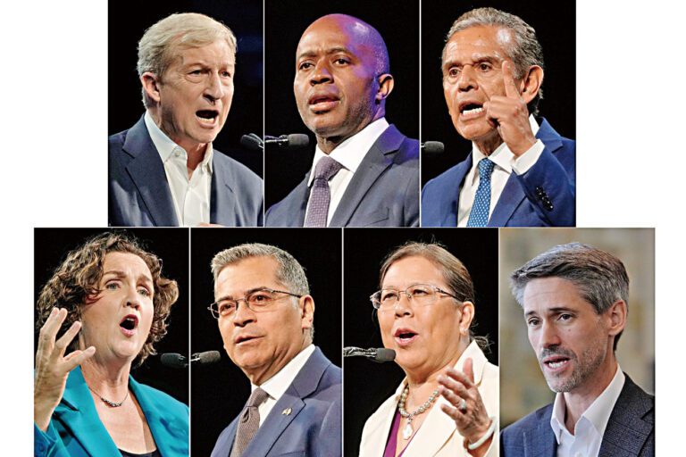 圖為多位民主黨州長候選人（左上起）斯泰爾、瑟蒙德、維拉戈沙、（左下起）波特、貝塞拉、余淑婷和馬漢的合成照。美聯社