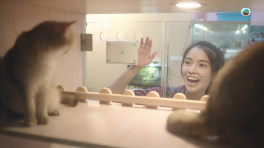 即使面對貓咪時面露笑容，陳若思也能演繹出令人心寒的狀態。