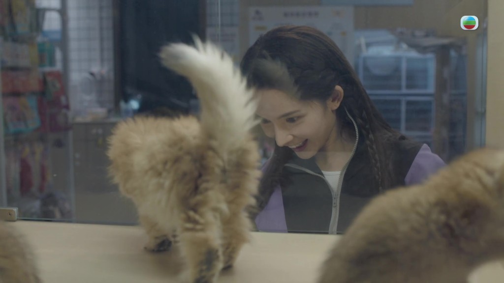 現實中的陳若思其實喜歡動物。