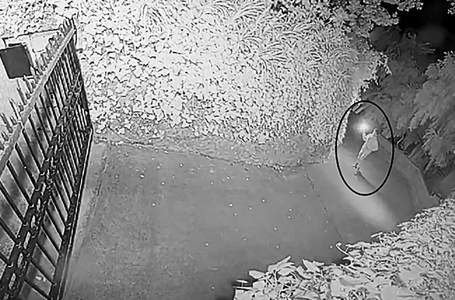 莫雷諾-伽馬涉嫌向OpenAI執行長奧爾特曼（Sam Altman）三藩市住處丟汽油彈。法庭文件