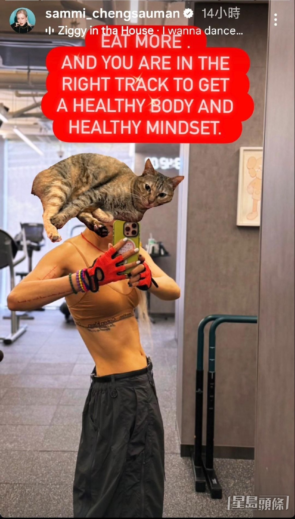 Sammi家中的愛寵為她加油打氣。