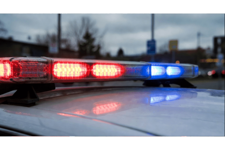 沙加緬度真人GTA  劫車、拒捕、槍戰 疑犯遭警員擊斃｜細說燊語