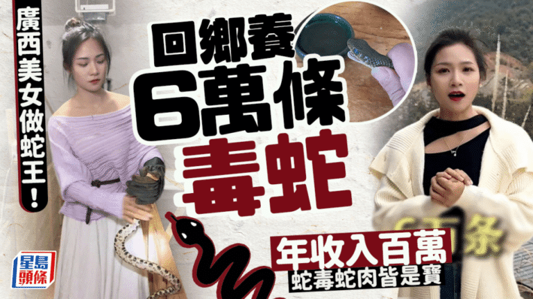 95後女大學生繼承家業 科學養殖毒蛇年收入百萬