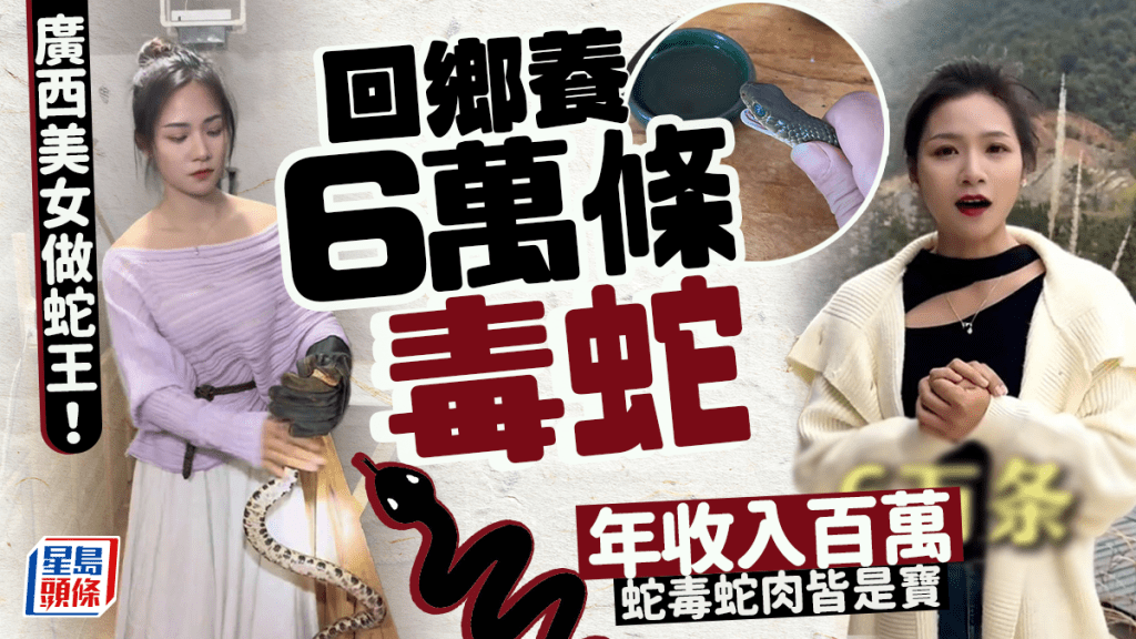 95後女大學生繼承家業 科學養殖毒蛇年收入百萬