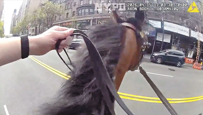 騎警在曼哈頓鬧市縱馬馳騁，成功攔截一名涉嫌盜竊女子。 NYPD圖片