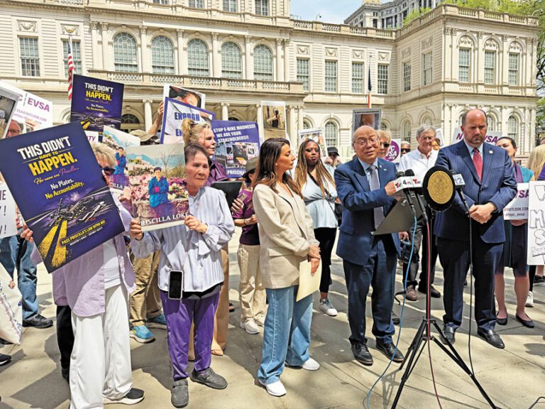 紐約市電動車安全聯盟在市府前集會，要求市議會通過「陸瑞英法案」。