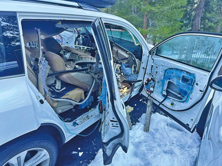 野熊受困車內後大搞破壞。華索縣縣警局