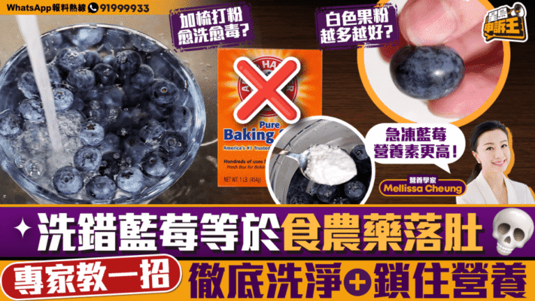 藍莓清洗方法影響健康 營養學家拆解食用迷思