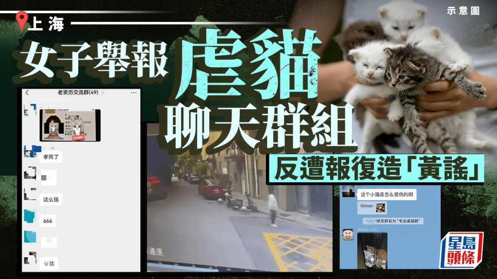上海女子舉報虐貓群組後遭人肉搜索及網絡誹謗