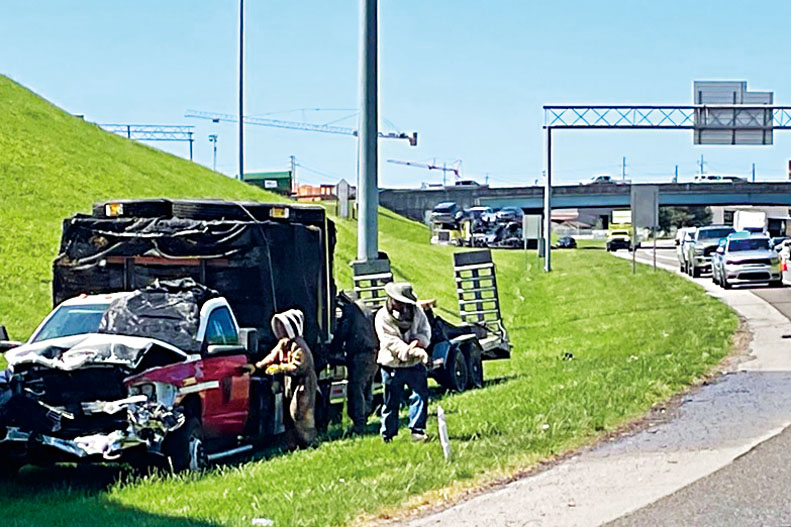 田納西州諾克斯維爾市40號州際公路上，養蜂人正在努力控制逃脫的蜜蜂。 美聯社