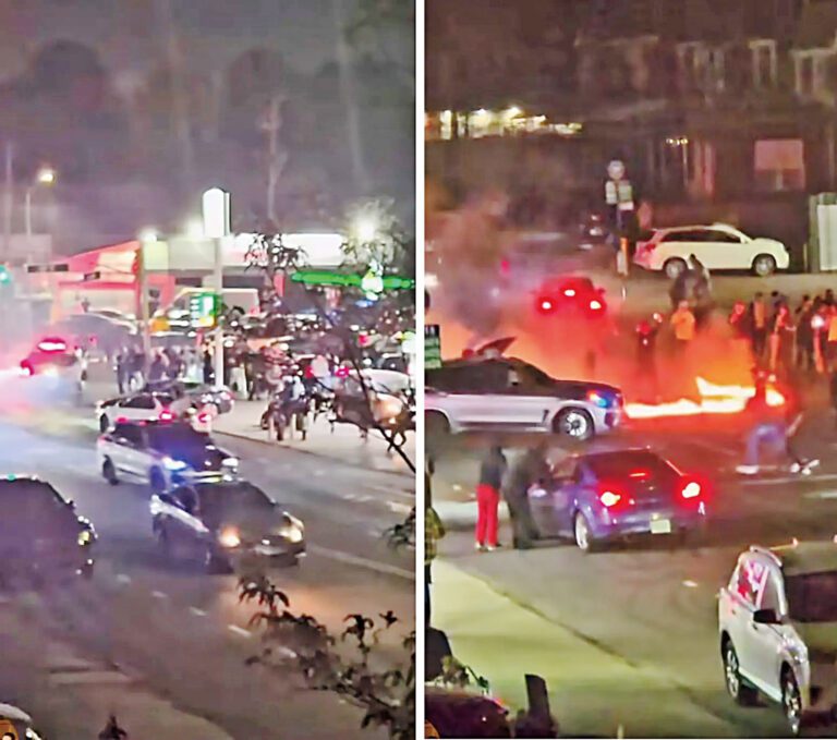 當地居民形容現場猶如「動物園」，令人心驚膽戰。PhilWongNYC youtube截圖