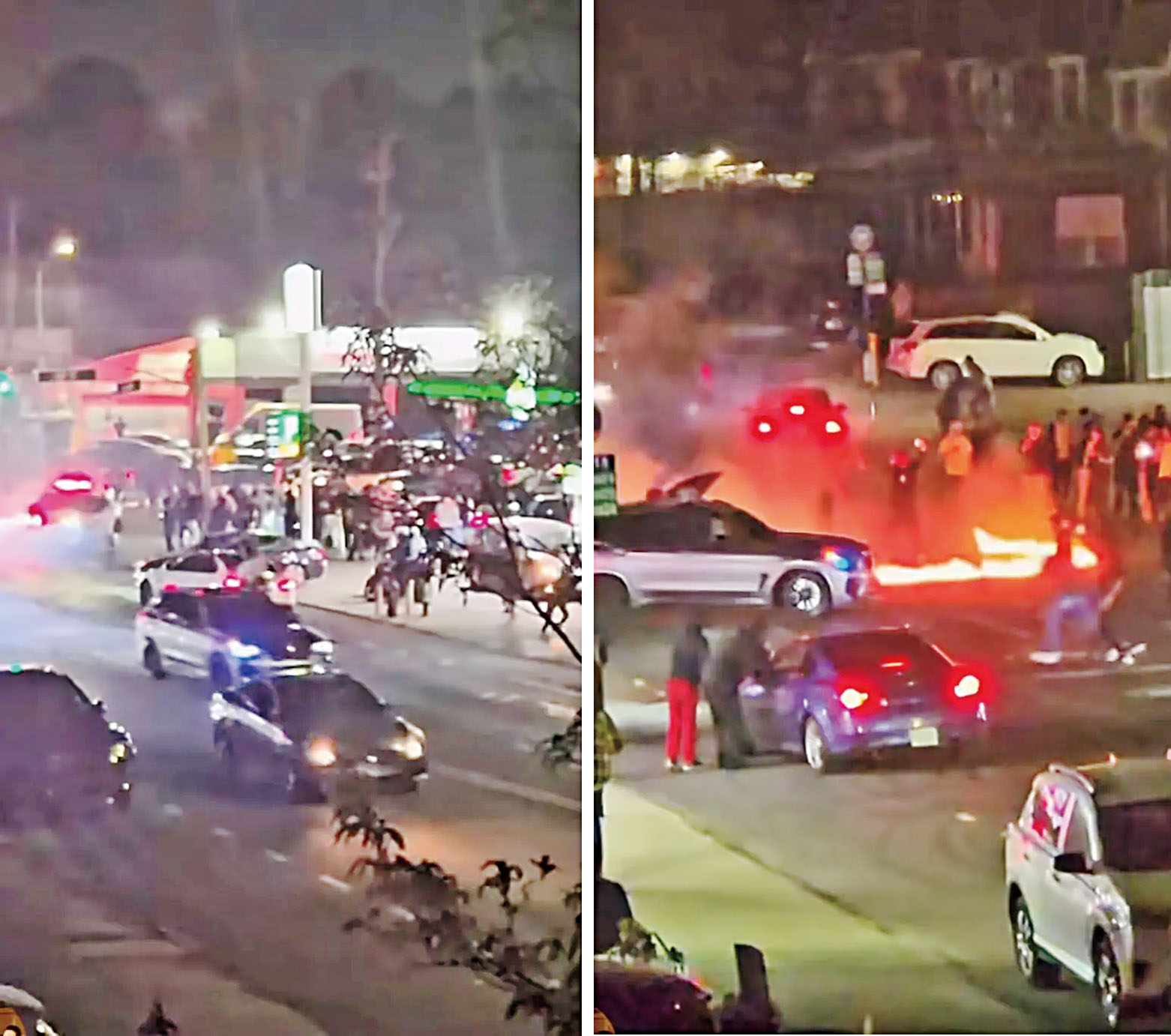 當地居民形容現場猶如「動物園」，令人心驚膽戰。PhilWongNYC youtube截圖