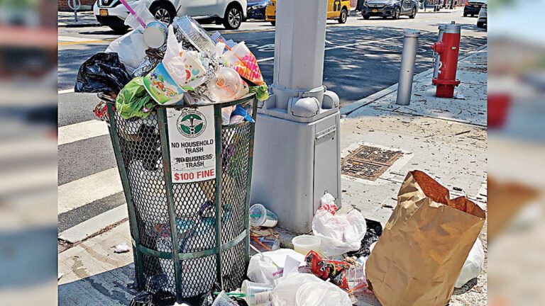 議員成立的「清潔隊」將清理街邊垃圾。