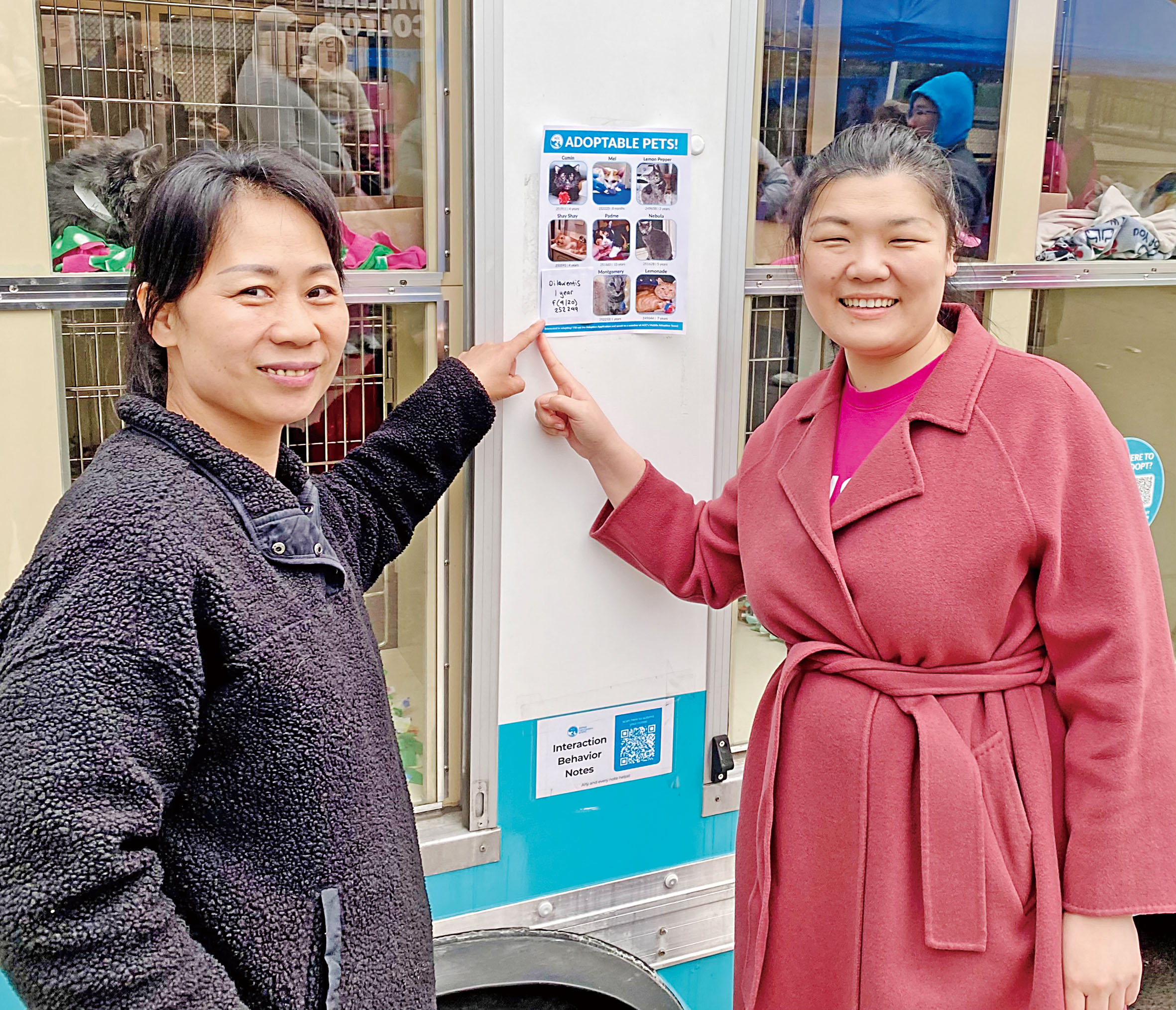 莊文怡(右)與林女士(左)指向林女士領養的貓的信息。 張之銘攝
