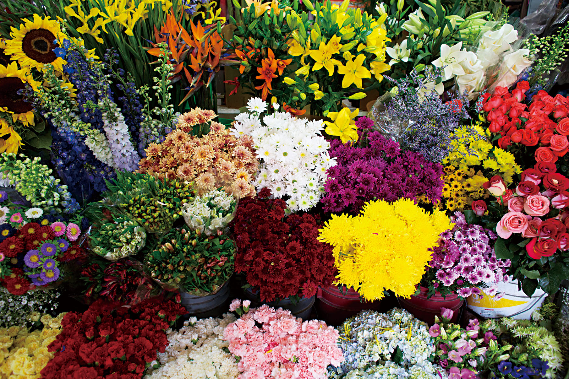 伊朗戰爭替鮮花相關供應鏈帶來價格衝擊。美聯社