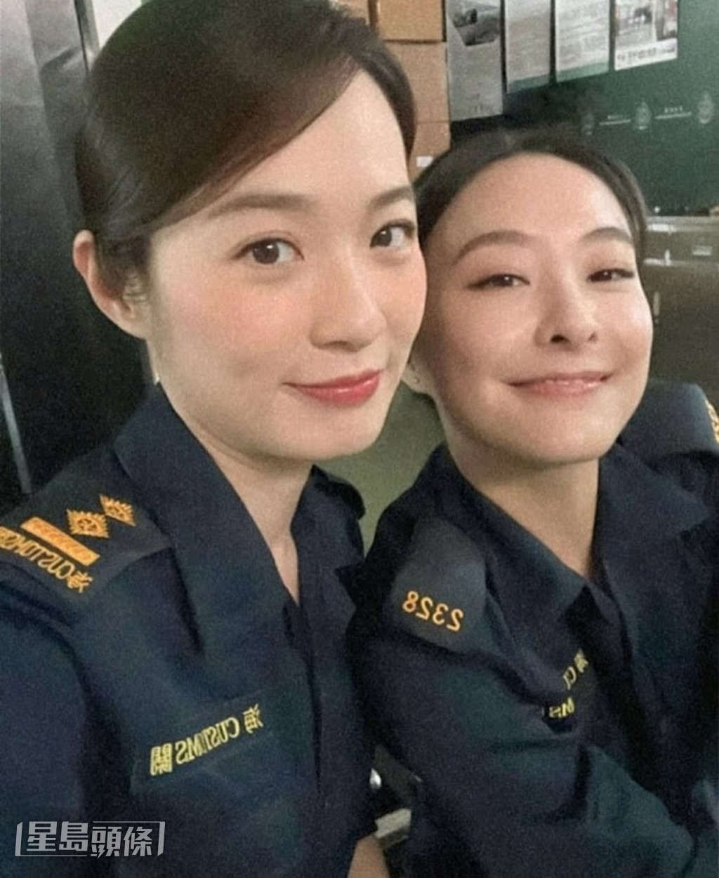 在《執法者們》中，兩人分別飾演海關督察和廉政公署調查員，對手戲亦不多。