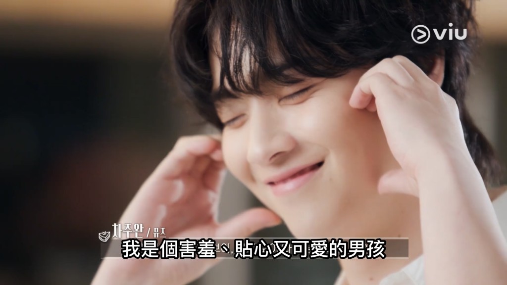 韓國「繆思」之一車柱完。