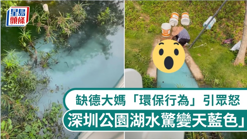 深圳公園湖水變藍 居民清洗環保漆桶引發關注