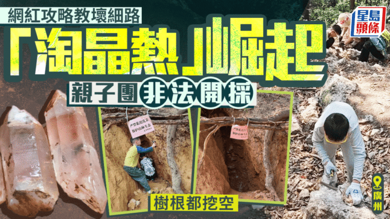廣州暹崗大山現非法採晶潮 親子活動變破壞山體隱患