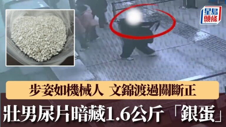 文錦渡海關截查異常旅客 揭發以成人紙尿片藏匿銀粒走私