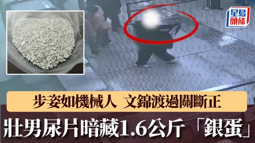 文錦渡海關截查異常旅客 揭發以成人紙尿片藏匿銀粒走私