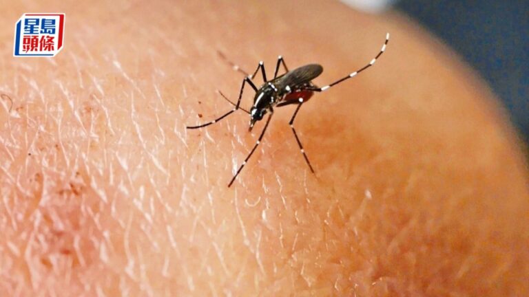 本港錄得今年首宗本地登革熱個案 21歲男患者居大埔太和邨