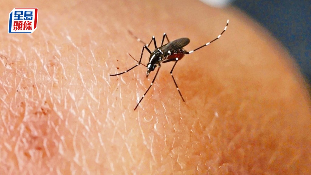本港錄得今年首宗本地登革熱個案 21歲男患者居大埔太和邨