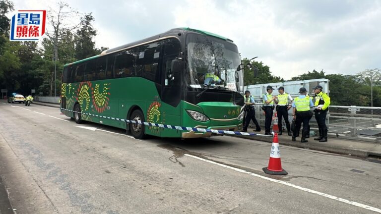 落馬洲旅遊巴撞斃女途人 司機涉危駕致死提堂准保釋