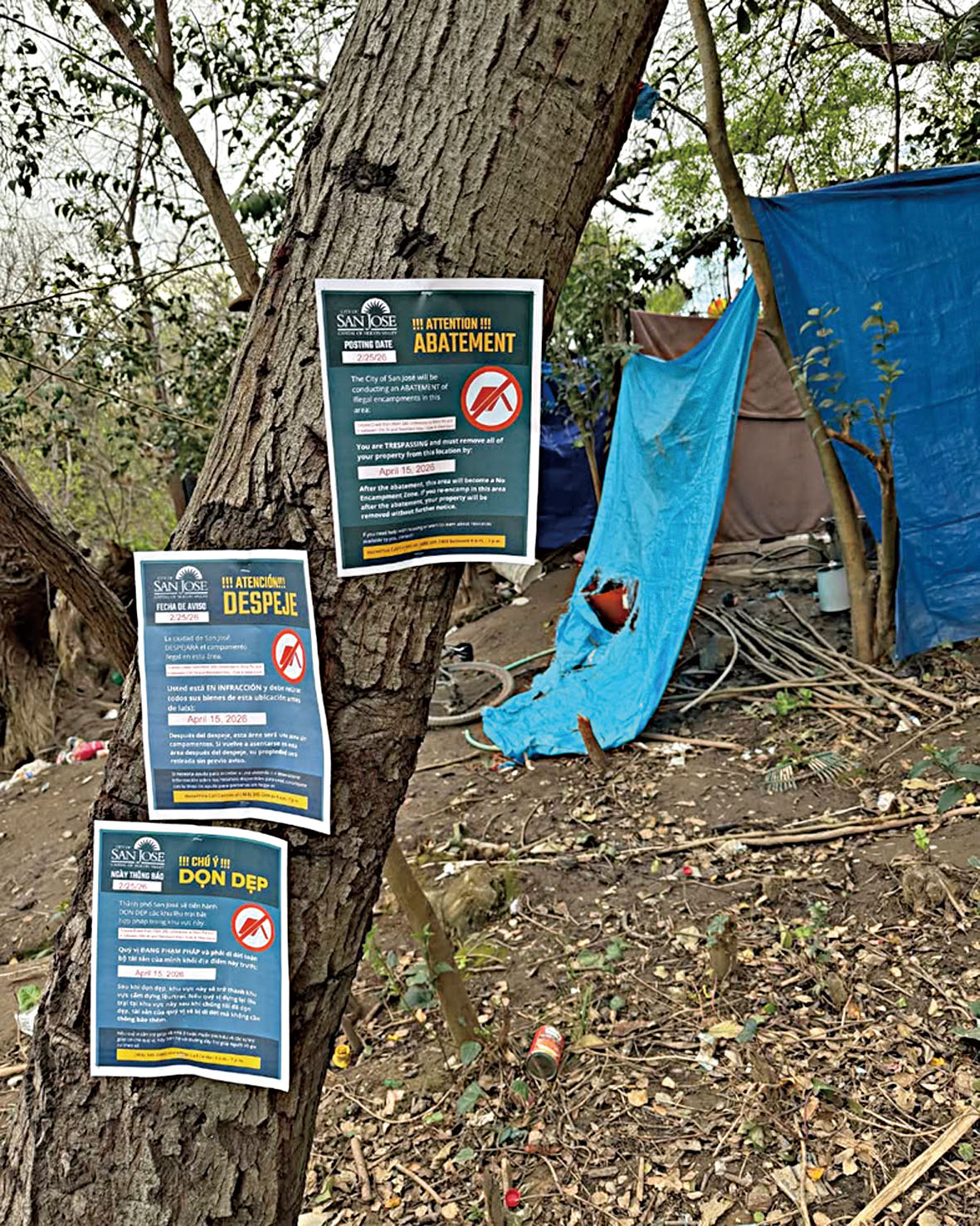 聖荷西市清理最後一個大型露營地「土狼草甸」，已安置近半數營地居民。聖荷西市府